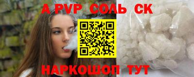 СК Кингисепп