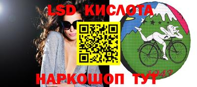 СК Кингисепп
