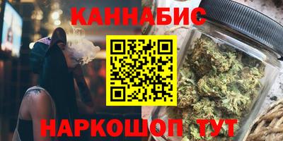 СК Кингисепп