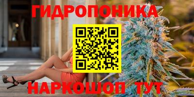 СК Кингисепп