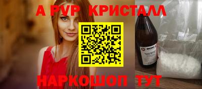 СК Кингисепп