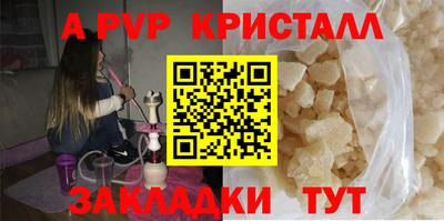 СК Кингисепп