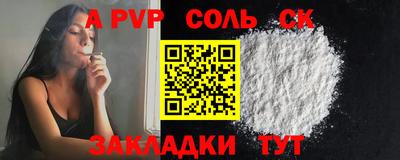 СК Кингисепп