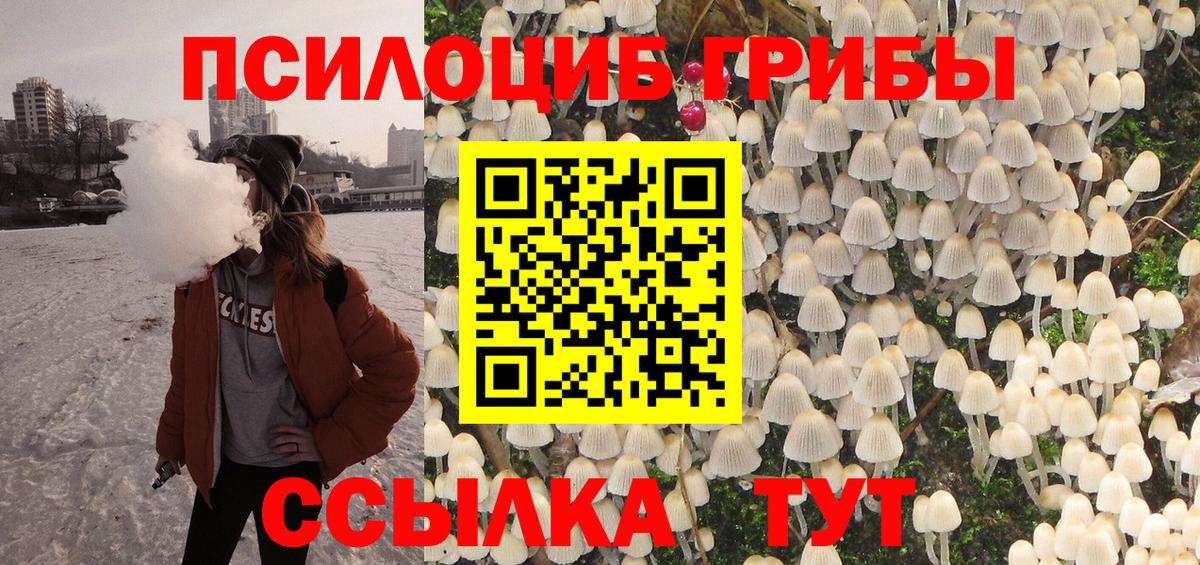 Галлюциногенные грибы Psilocybe  Вход с VPN  Галлюциногенные грибы MAGIC MUSHROOMS  Чусовой 