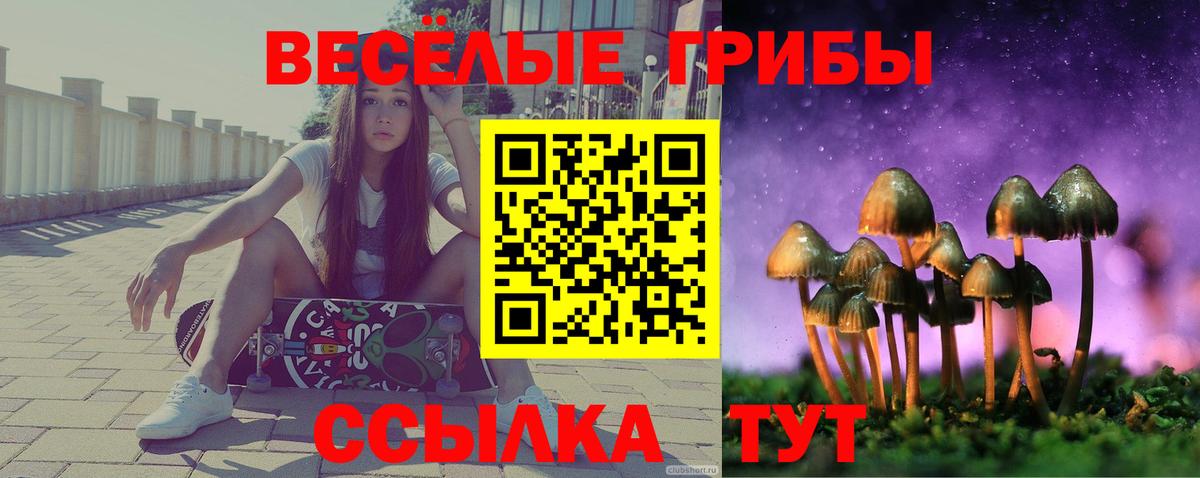 Псилоцибиновые грибы Psilocybine cubensis Чусовой